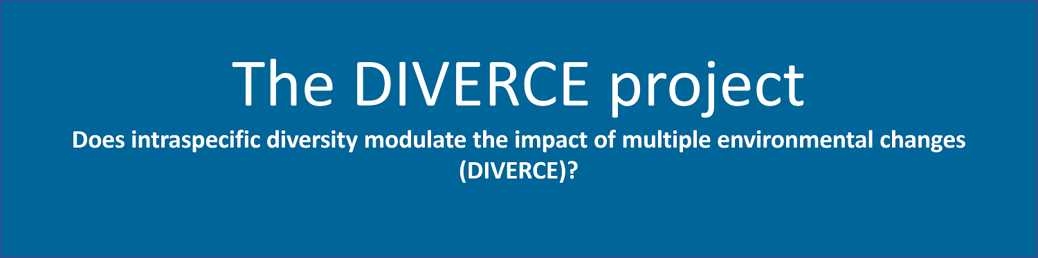 The DIVERCE project The DIVERCE project