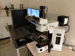 Olympus BX51